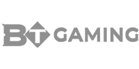 Visa partner logo